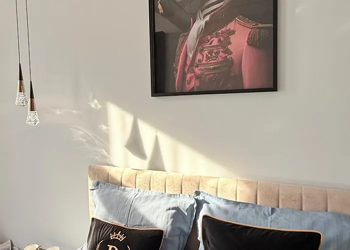 The Giraffe's * Sofia