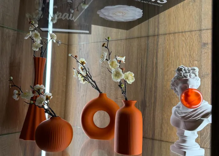 The Giraffe's * Sofia