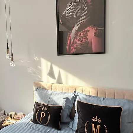 The Giraffe's * Sofya